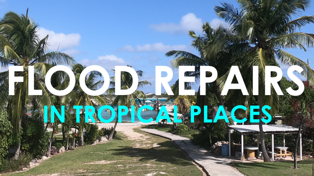 Let the Repairs Begin!